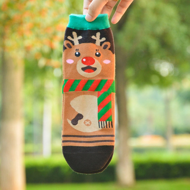 Festive Socks